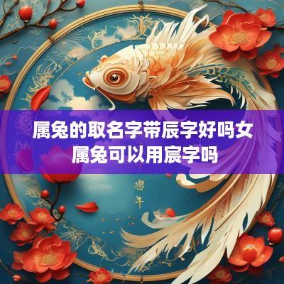 属兔的取名字带辰字好吗女 属兔可以用宸字吗