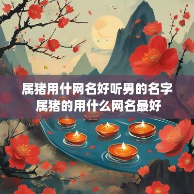 属猪用什网名好听男的名字 属猪的用什么网名最好