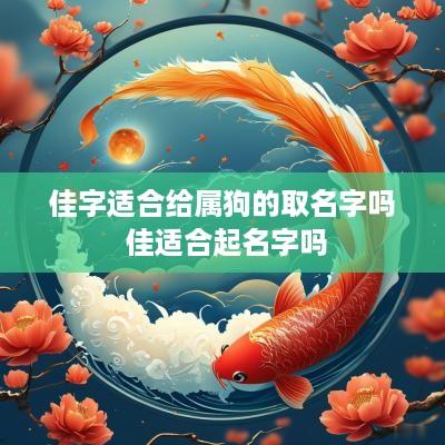 佳字适合给属狗的取名字吗 佳适合起名字吗