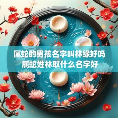 属蛇的男孩名字叫林缘好吗 属蛇姓林取什么名字好