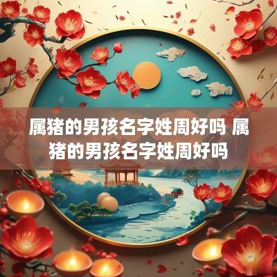 属猪的男孩名字姓周好吗 属猪的男孩名字姓周好吗