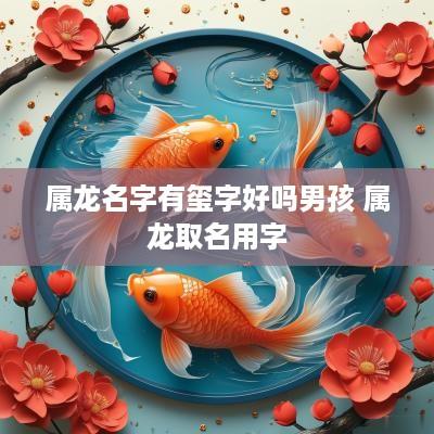 属龙名字有玺字好吗男孩 属龙取名用字