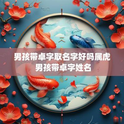 男孩带卓字取名字好吗属虎 男孩带卓字姓名