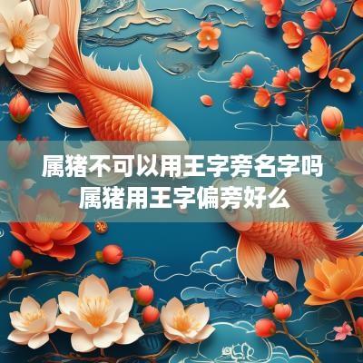 属猪不可以用王字旁名字吗 属猪用王字偏旁好么