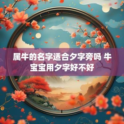 属牛的名字适合夕字旁吗 牛宝宝用夕字好不好