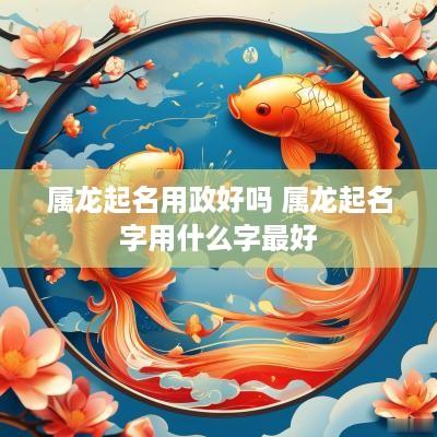 属龙起名用政好吗 属龙起名字用什么字最好