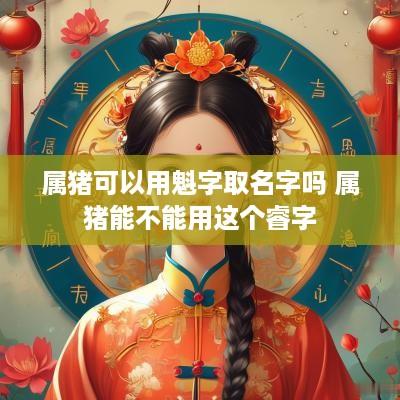 属猪可以用魁字取名字吗 属猪能不能用这个睿字