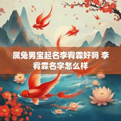 属兔男宝起名李宥霖好吗 李宥霖名字怎么样