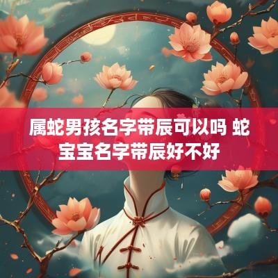 属蛇男孩名字带辰可以吗 蛇宝宝名字带辰好不好