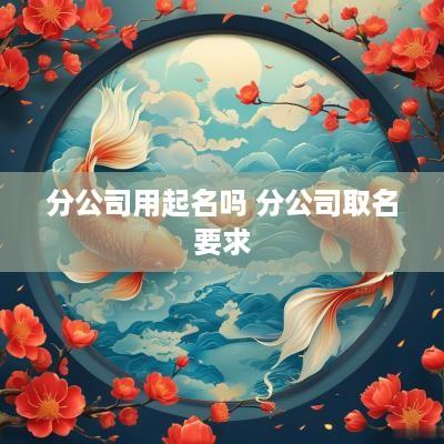 分公司用起名吗 分公司取名要求