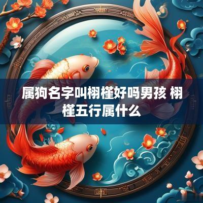 属狗名字叫栩槿好吗男孩 栩槿五行属什么