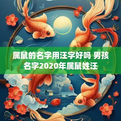 属鼠的名字用汪字好吗 男孩名字2025年属鼠姓汪