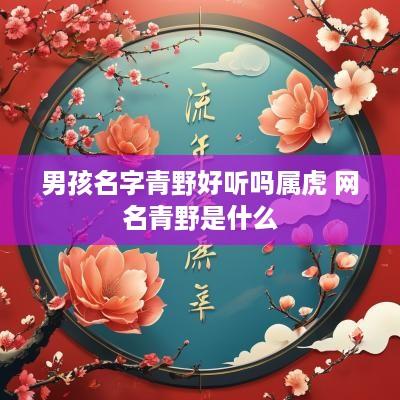男孩名字青野好听吗属虎 网名青野是什么