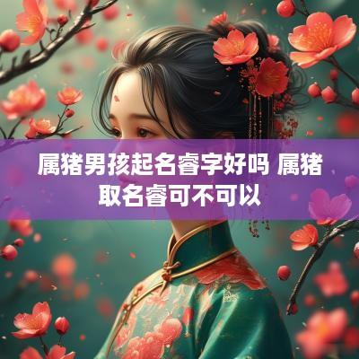 属猪男孩起名睿字好吗 属猪取名睿可不可以