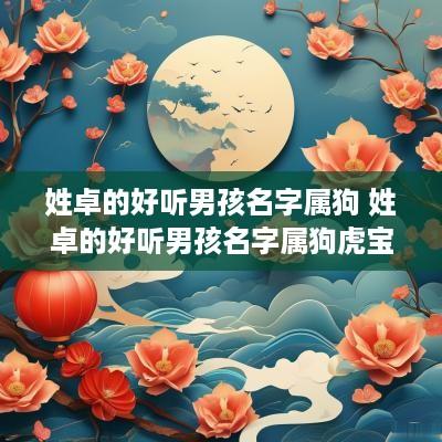 姓卓的好听男孩名字属狗 姓卓的好听男孩名字属狗虎宝宝
