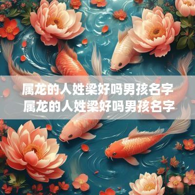 属龙的人姓梁好吗男孩名字 属龙的人姓梁好吗男孩名字叫什么