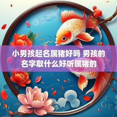小男孩起名属猪好吗 男孩的名字取什么好听属猪的