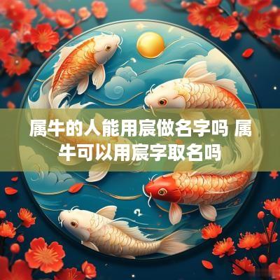属牛的人能用宸做名字吗 属牛可以用宸字取名吗