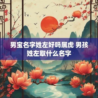 男宝名字姓左好吗属虎 男孩姓左取什么名字