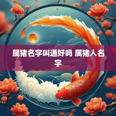 属猪名字叫通好吗 属猪人名字