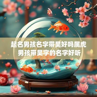 起名男孩名字带昊好吗属虎 男孩带昊字的名字好听