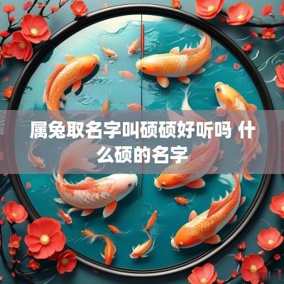 属兔取名字叫硕硕好听吗 什么硕的名字