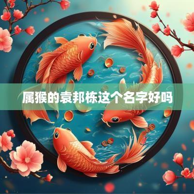 属猴的袁邦栋这个名字好吗