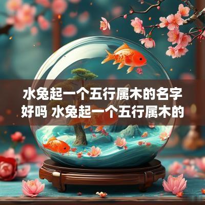水兔起一个五行属木的名字好吗 水兔起一个五行属木的名字好吗女孩