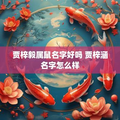 贾梓毅属鼠名字好吗 贾梓涵名字怎么样