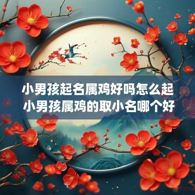 小男孩起名属鸡好吗怎么起 小男孩属鸡的取小名哪个好