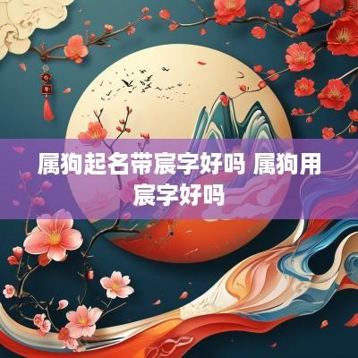 属狗起名带宸字好吗 属狗用宸字好吗