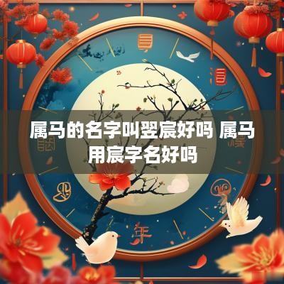 属马的名字叫翌宸好吗 属马用宸字名好吗