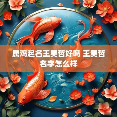 属鸡起名王昊哲好吗 王昊哲名字怎么样