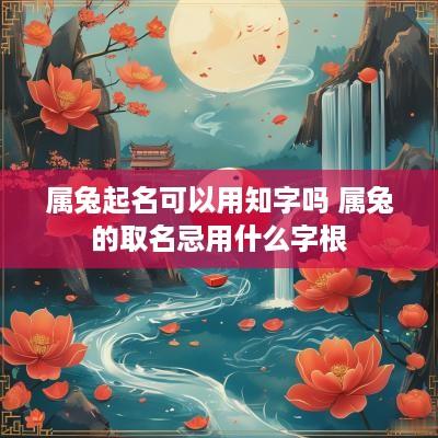 属兔起名可以用知字吗 属兔的取名忌用什么字根