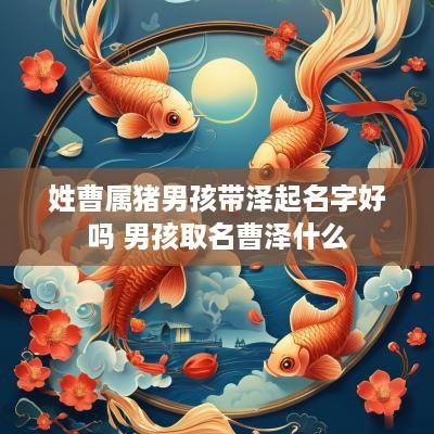 姓曹属猪男孩带泽起名字好吗 男孩取名曹泽什么