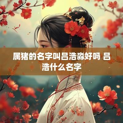 属猪的名字叫吕浩淼好吗 吕浩什么名字
