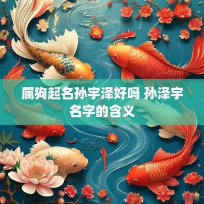 属狗起名孙宇泽好吗 孙泽宇名字的含义