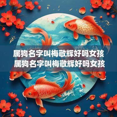 属狗名字叫梅敬辉好吗女孩 属狗名字叫梅敬辉好吗女孩子
