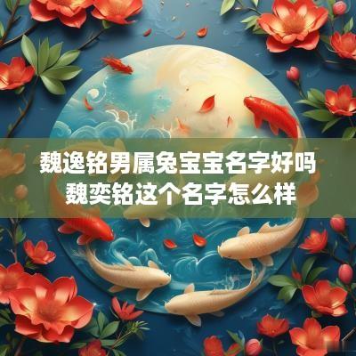 魏逸铭男属兔宝宝名字好吗 魏奕铭这个名字怎么样