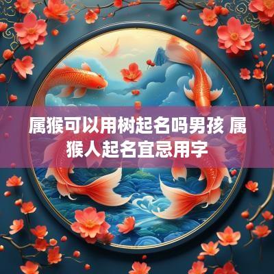 属猴可以用树起名吗男孩 属猴人起名宜忌用字