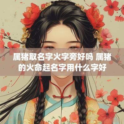 属猪取名字火字旁好吗 属猪的火命起名字用什么字好