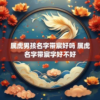 属虎男孩名字带宸好吗 属虎名字带宸字好不好