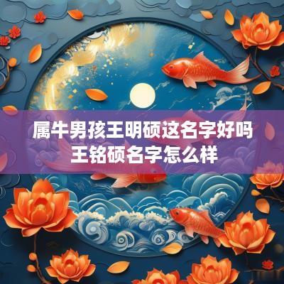 属牛男孩王明硕这名字好吗 王铭硕名字怎么样