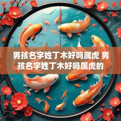 男孩名字姓丁木好吗属虎 男孩名字姓丁木好吗属虎的