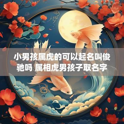 小男孩属虎的可以起名叫俊驰吗 属相虎男孩子取名字