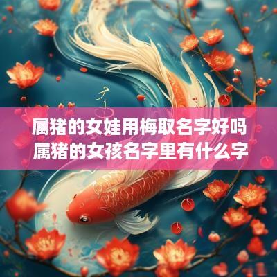 属猪的女娃用梅取名字好吗 属猪的女孩名字里有什么字好