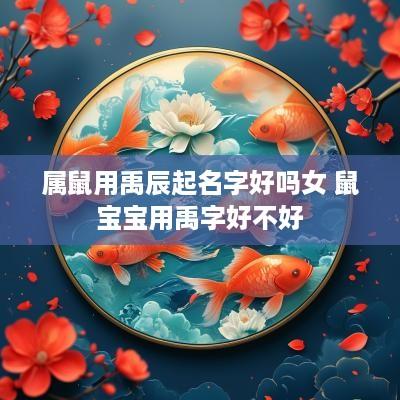 属鼠用禹辰起名字好吗女 鼠宝宝用禹字好不好