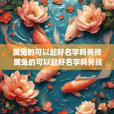 属兔的可以起好名字吗男孩 属兔的可以起好名字吗男孩子