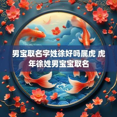 男宝取名字姓徐好吗属虎 蛇年徐姓男宝宝取名