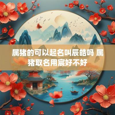 属猪的可以起名叫辰皓吗 属猪取名用宸好不好